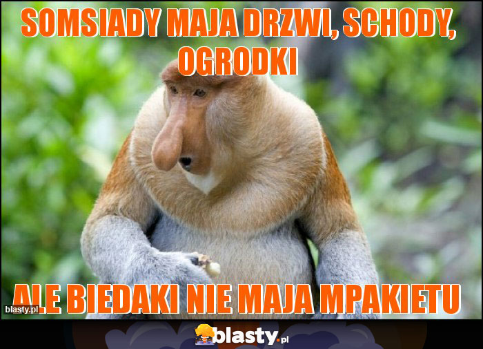 somsiady maja drzwi, schody, ogrodki