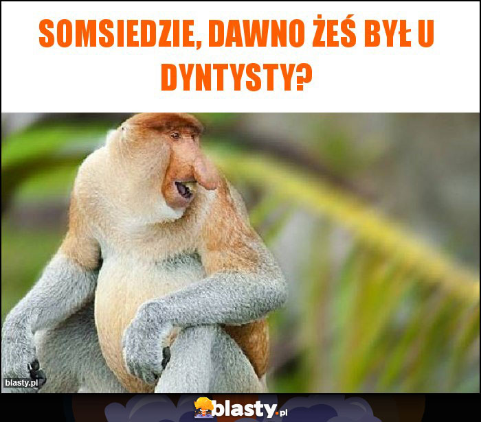 Somsiedzie, dawno żeś był u dyntysty?