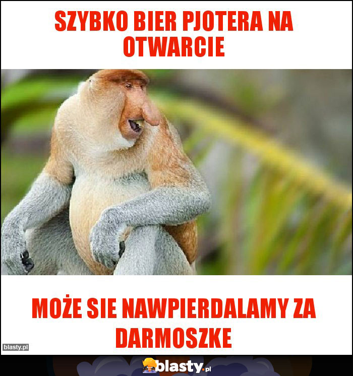 szybko bier pjotera na otwarcie