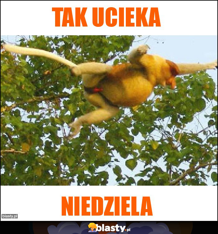 Tak ucieka