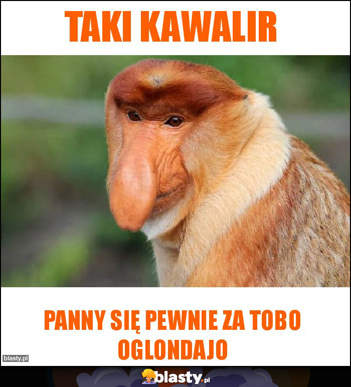 Taki kawalir