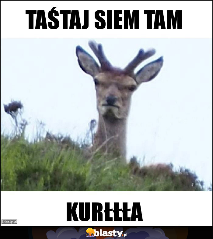 Taśtaj siem tam