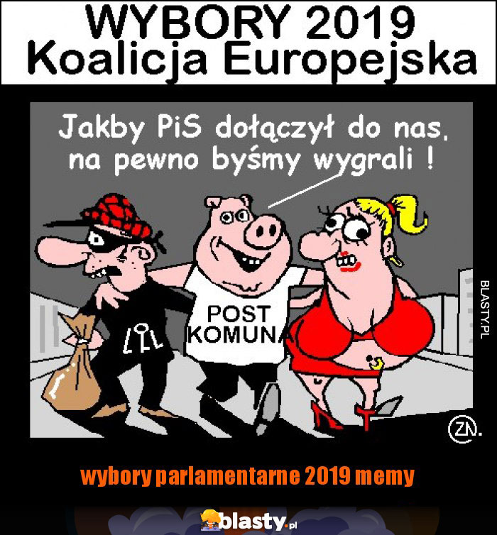 wybory parlamentarne 2019 memy