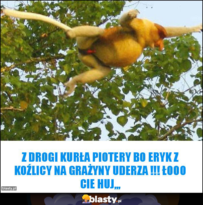 z drogi kurła piotery bo eryk z koźlicy na grażyny uderza !!! łooo cie huj,,,