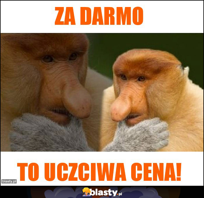 ZA DARMO