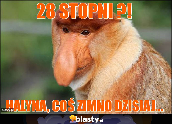 28 stopni ?!