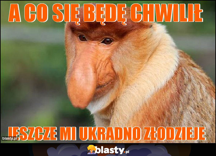 A co się będę chwilił