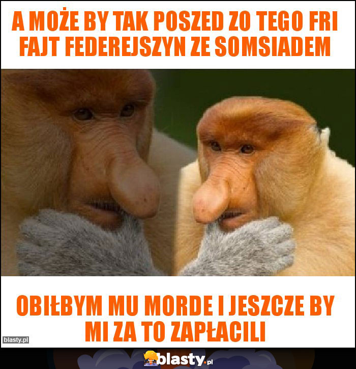 A może by tak poszed zo tego fri fajt federejszyn ze somsiadem