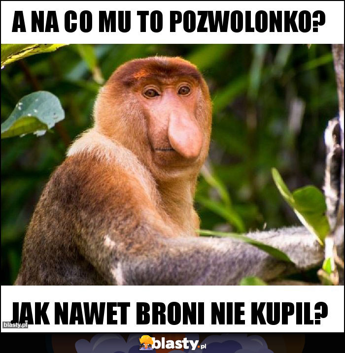 A na co mu to pozwolonko?