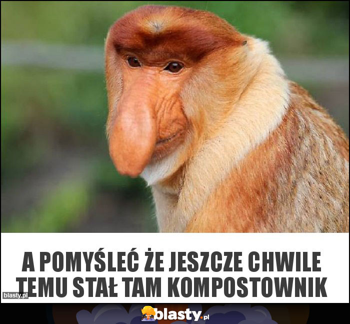 A POMYŚLEĆ ŻE JESZCZE CHWILE TEMU STAŁ TAM KOMPOSTOWNIK