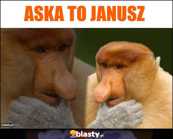 Aska to janusz