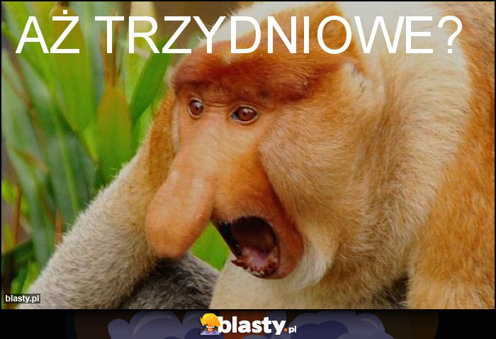 Aż trzydniowe?