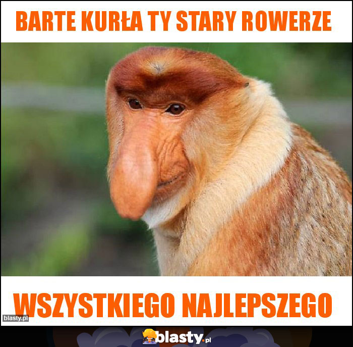 BARTE KURŁA TY STARY ROWERZE