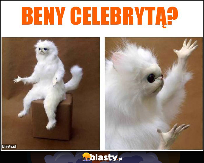 Beny celebrytą?