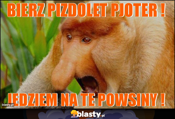 BIERZ PIZDOLET PJOTER !