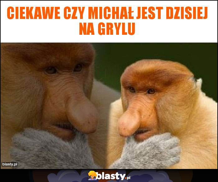 Ciekawe czy michał jest dzisiej na grylu