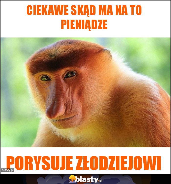 Ciekawe skąd ma na to pieniądze