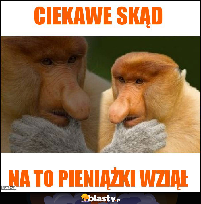 Ciekawe skąd