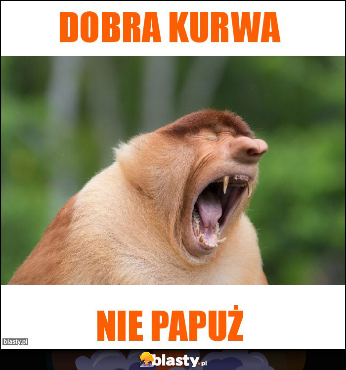 Dobra kurwa