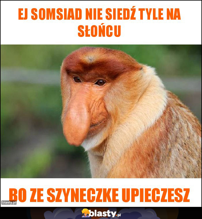 Ej somsiad nie siedź tyle na słońcu