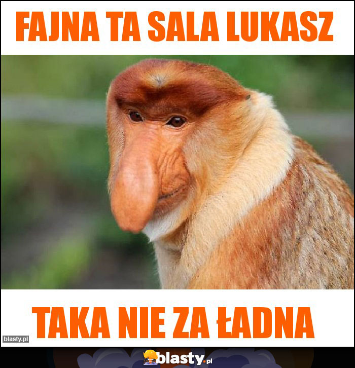 Fajna ta sala Lukasz