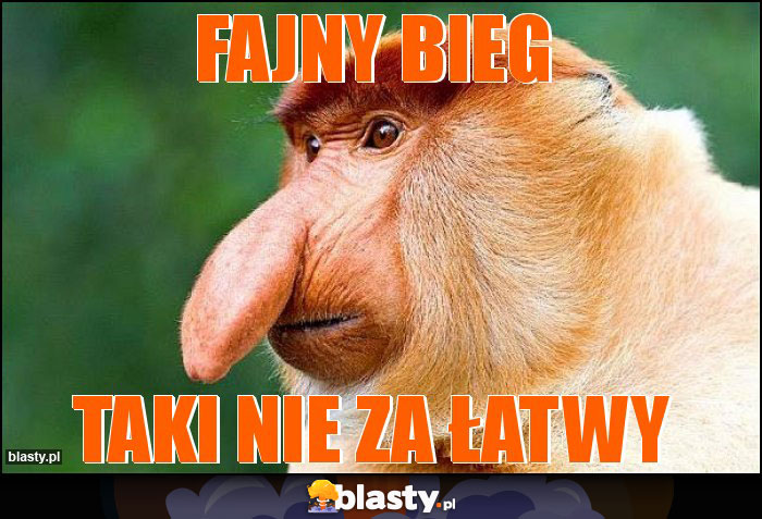 Fajny bieg