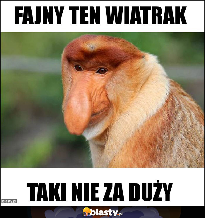 Fajny ten wiatrak