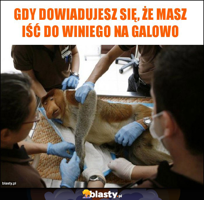 Gdy dowiadujesz się, że masz iść do winiego na galowo