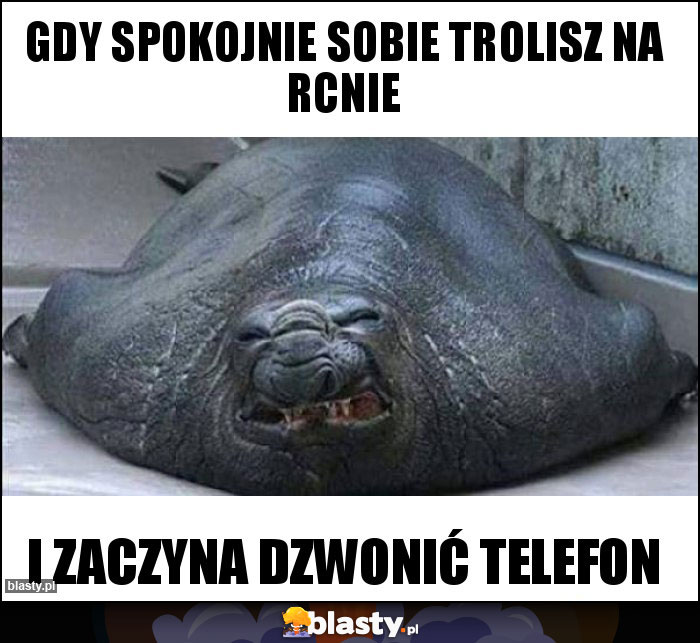 Gdy spokojnie sobie trolisz na rcnie