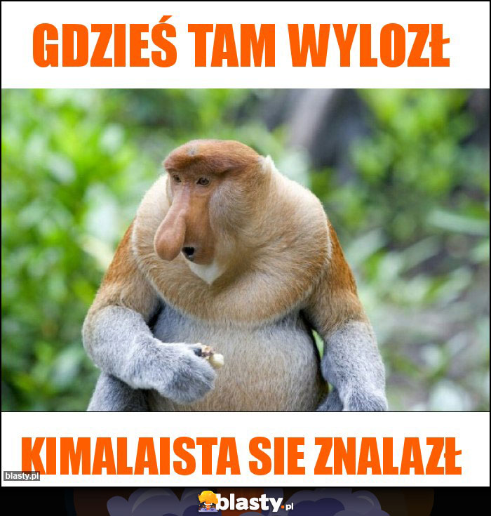 Gdzieś tam wylozł