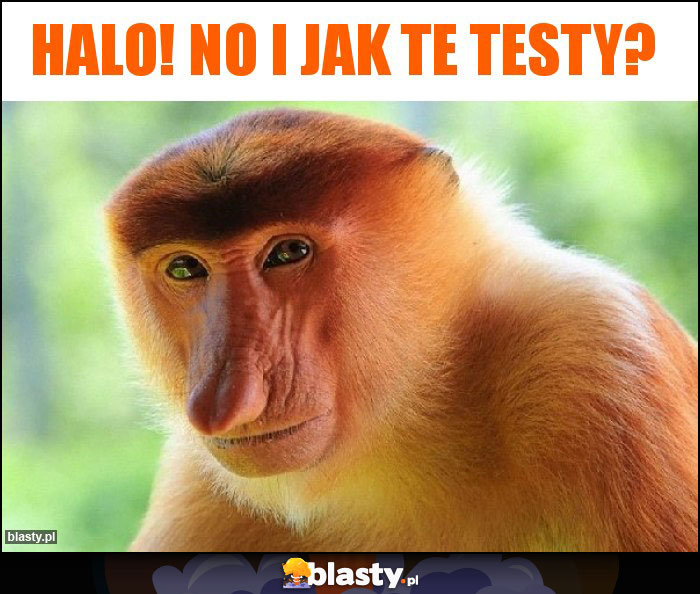 HALO! No i jak te testy?