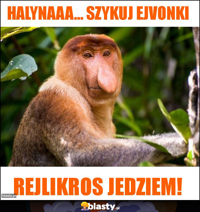 Halynaaa... Szykuj EJVONki