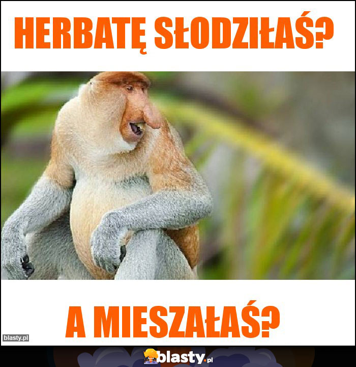 Herbatę słodziłaś?