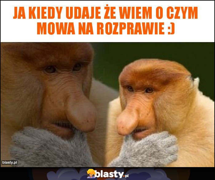 Ja kiedy udaje że wiem o czym mowa na rozprawie :)