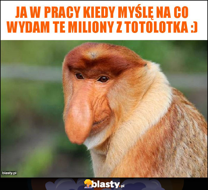 Ja w pracy kiedy myślę na co wydam te miliony z Totolotka :)