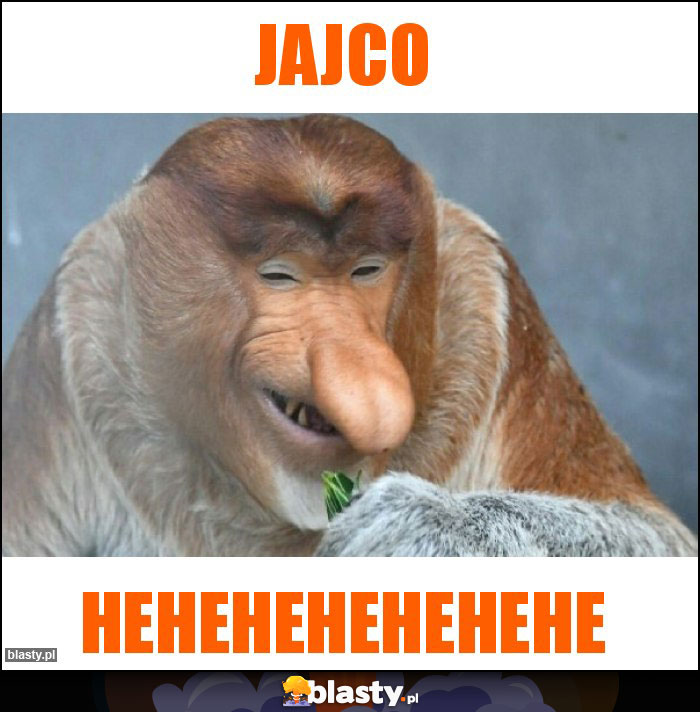 jajco