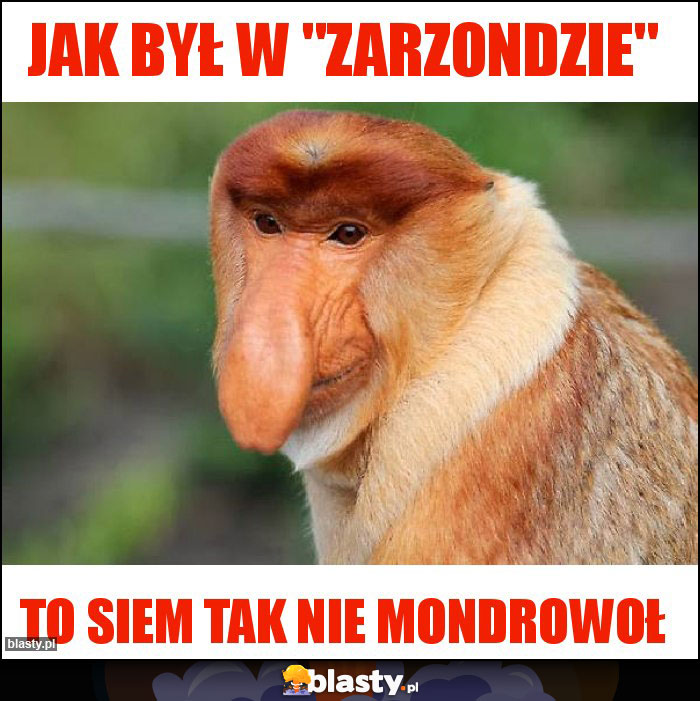 Jak był w 