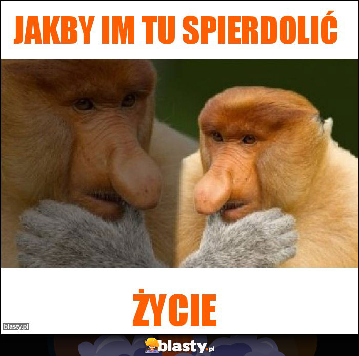 Jakby im tu spierdolić