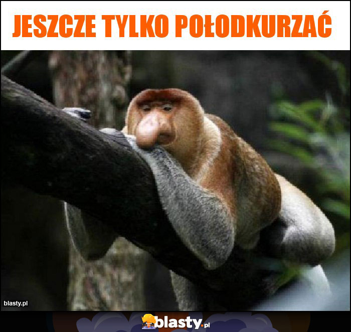 Jeszcze tylko połodkurzać