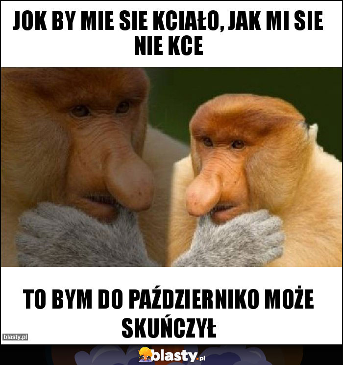 jok by mie sie kciało, jak mi sie nie kce