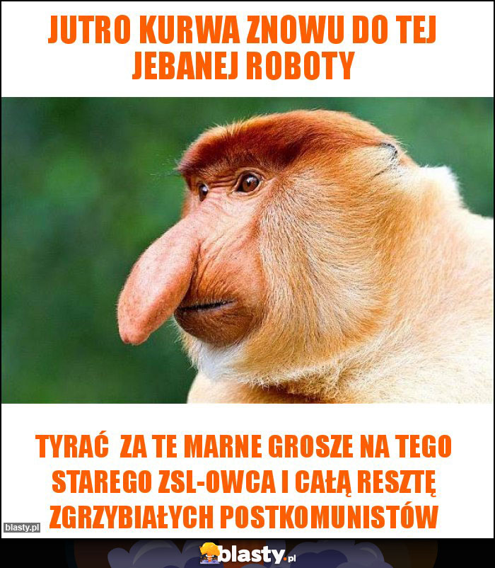 Jutro kurwa znowu do tej jebanej roboty