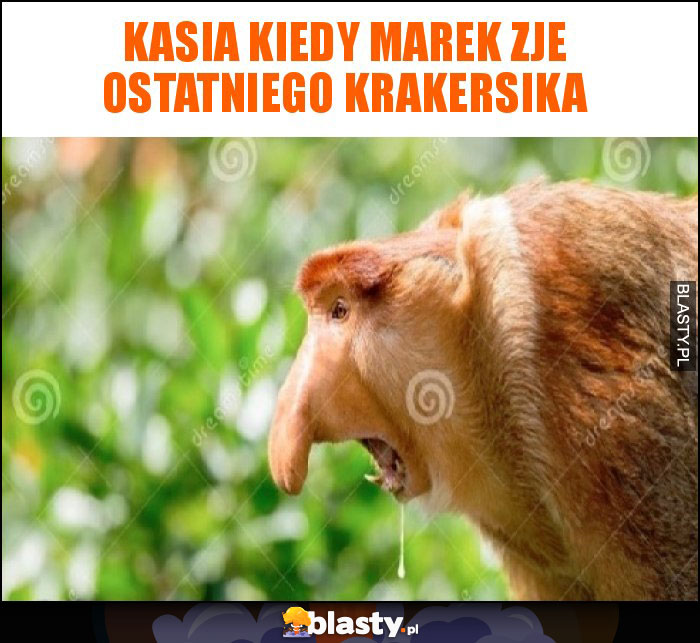 Kasia kiedy marek zje ostatniego krakersika