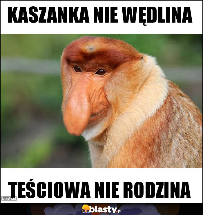 KASZANKA NIE WĘDLINA