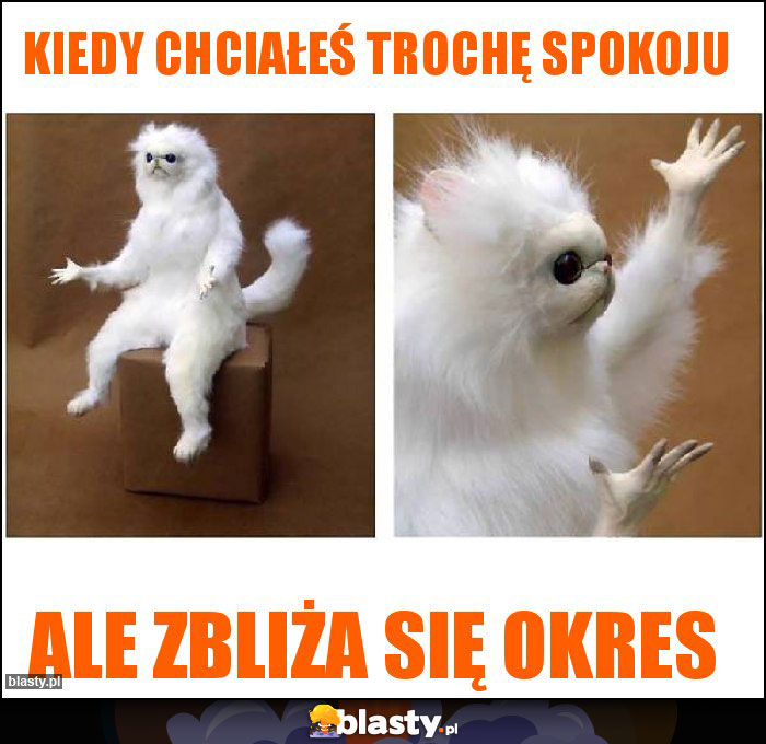 Kiedy chciałeś trochę spokoju