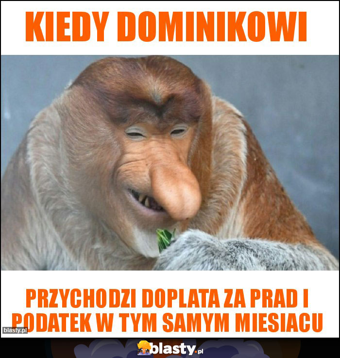 Kiedy Dominikowi