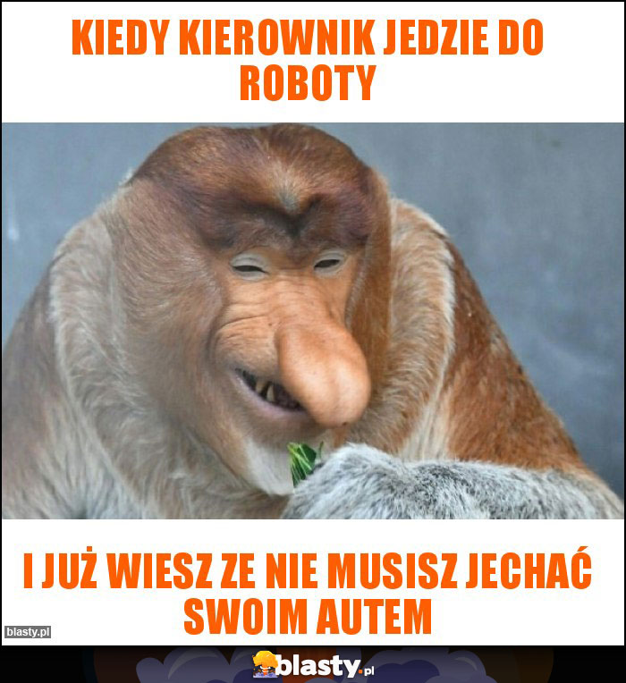 Kiedy kierownik jedzie do roboty