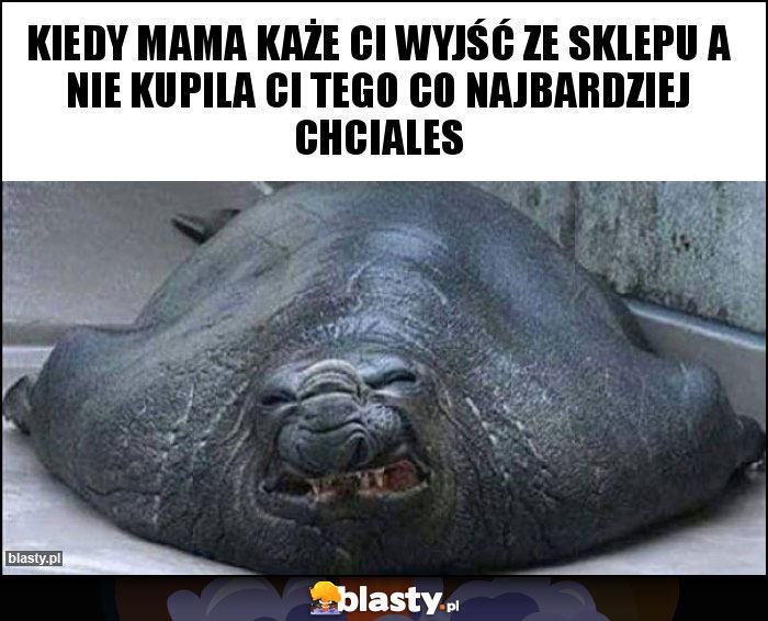 Kiedy mama każe Ci wyjść ze sklepu a nie kupila ci tego co najbardziej chciales