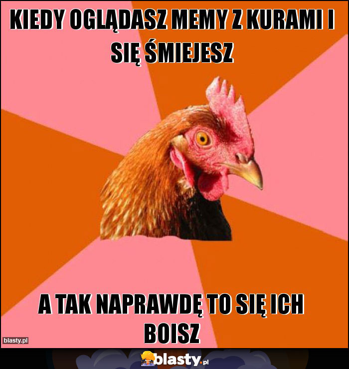 Kiedy oglądasz memy z kurami i się śmiejesz