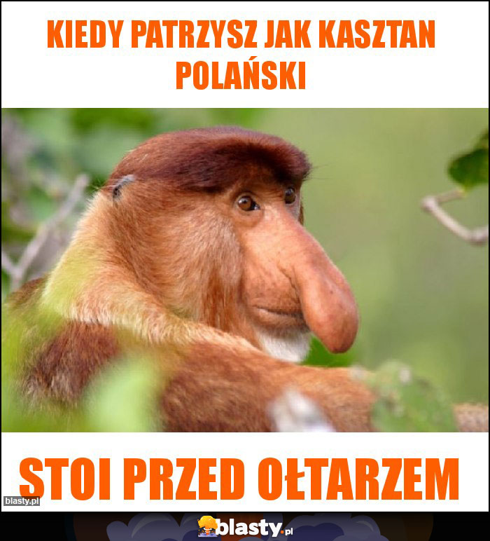 kiedy patrzysz jak kasztan polański