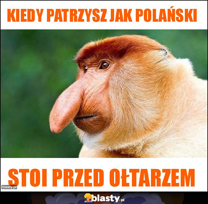 kiedy patrzysz jak polański